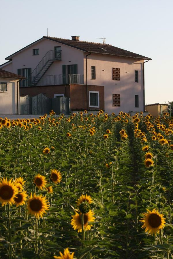 Villa La Collina Del Girasole Montecastrilli Exterior foto